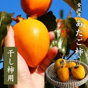 _Im1/2IIōő100|CgobNI10 0:00`^iȊÂ `p `yzyYnzQY `p  (  ) ` 10kg u`v ` a` 