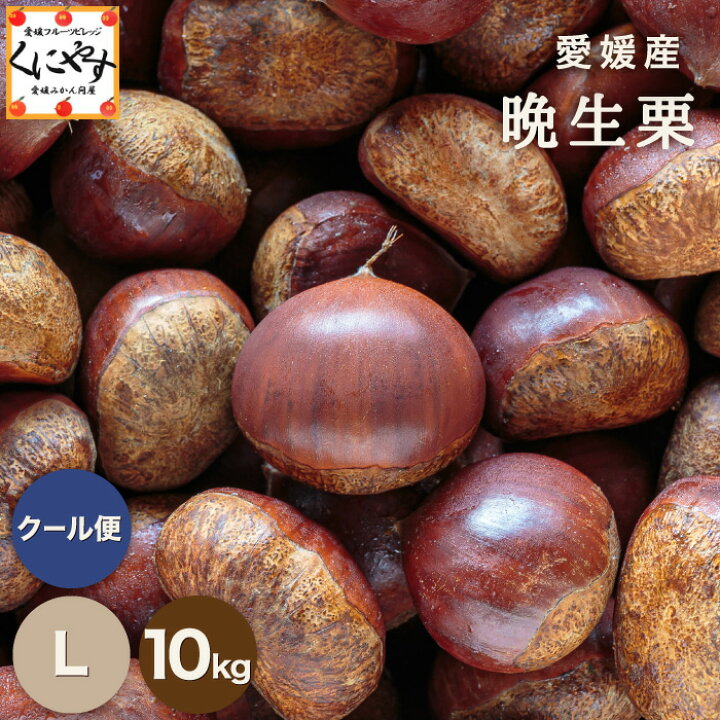 楽天市場】＼シーズン最後の栗／【厳選品】【送料無料】【産地 