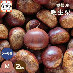 _24hI  |Cg ő39{I10/1 0:00`^ʌIV[YŌ̌IyIizyzyYnzQY Ӑ I MTCY 2L uQӐIM2v Y OK