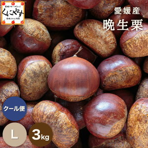 _IN[|p10OFF^V[YŌ̌IyIizyzyYnzQY ӐI LTCY 3LuQӐIL3vY OKI Y I I a aI 