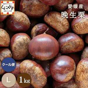 _IN[|p10OFF^V[YŌ̌IyIizyzyYnzQY ӐI LTCY 1LuQӐIL1vY OKI Y I I a aI