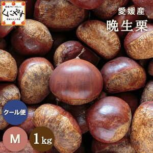 _|Cg4{I 25 0:00`^ʌIV[YŌ̌IyIizyzyYnzQY Ӑ I MTCY 1L uQӐIM1v Y OKI Y I  a
