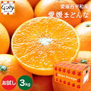 ＼ポイント10倍！＆ 最大300％ポイントバック 開催中！／★まるでゼリー！ぷるぷる食感 一番人気★ 愛媛みかん の老舗…