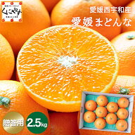 事前エントリー開始！最大100％ポイントバック！20日 0:00～＼3％OFFクーポン 配布中！／★プルプル食感…