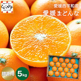 ＼ 9/1 0:00～ ご予約開始！／★まるでゼリー！プルプル食感★ 創業85年 愛媛 みかん の老舗【送料無料】【ギフト】【産地直送】愛媛まどんな 贈答用 約5kg「贈答愛媛まどんな5」 紅まどんな は登録商標のため 愛媛まどんな として販売