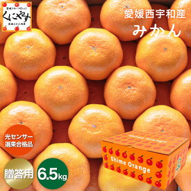＼当選確率1/2！抽選で最大100％ポイントバック 18日 0:00～／★糖度11.0以上 酸1.0以下★創業85年 愛媛みかん の老舗【送料無料】【ギフト】【産地直送】愛媛西宇和産 みかん 贈答用 6.5キロ「贈答みかん6.5」 日の丸みかん 川上みかん 真穴みかん と同一産地