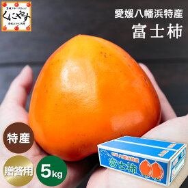 8/20〜ご予約受付開始【予約品】10月下旬〜11月上旬発送★八幡浜特産 国内最大級の 柿 ★【送料無料】【ギフト】【産地直送】愛媛 八幡浜特産 富士柿 贈答用 約5キロ 「贈答富士柿5」 種無し 種なし柿 フジ柿