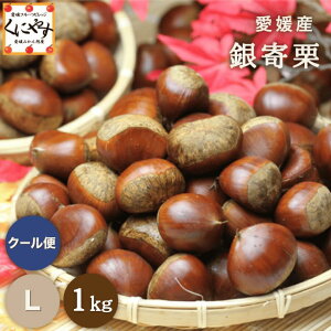  |CgՁI _P10{I ő100|CgobN 10 0:00`^H̖o ỈlI a ɂ炪IXXIyzyYnzyMtgzyIizQY  I LT
