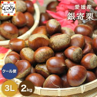 クーポン利用で 10％OFF ＼当選確率1/2！最大100％ポイントバック！本日 23:59 まで／★秋の味覚 栗 の王…