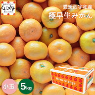 事前エントリー開始！最大100％ポイントバック！20日 0:00～＼3％OFFクーポン 配布中！／★創業86年 親子…