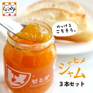 新発売！★ 無添加！保存料 香料 着色料 不使用★【送料無料】【ギフト】【産地直送】愛媛産 のっけるご…