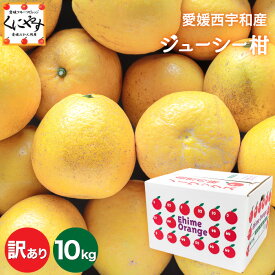 ★さっぱり爽やか！夏のかんきつ★＼創業84年 愛媛みかん の老舗／【送料無料】【産地直送】愛媛西宇和産ジューシー柑 訳あり 10kg「訳ありジューシー柑10」（別名:河内晩柑 和製グレープフルーツ 宇和ゴールド 美生柑 愛南ゴールド ジューシーオレンジ）みかん 文旦 晩柑