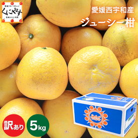 ★さっぱり爽やか！夏のかんきつ★＼創業84年 愛媛みかん の老舗／【送料無料】【産地直送】愛媛西宇和産ジューシー柑 訳あり 5kg「訳ありジューシー柑5」(別名:河内晩柑 和製グレープフルーツ 宇和ゴールド 美生柑 愛南ゴールド ジューシーオレンジ) みかん 文旦 晩柑