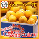 【送料無料】お値打ちC級品ジューシー柑10kg(10kg×1箱）河内晩柑と同一品種！「C級品ジューシー柑10kg」 ランキングお取り寄せ