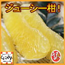 【送料無料】訳ありジューシー柑10kg(10kg×1箱）大きさ不揃い,数お任せの訳あり品【RCP】河内晩柑と同一品種！「訳ありジューシー柑10kg」 ランキングお取り寄せ