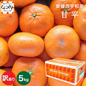 タイムセール！！大豊作祭！期間限定 特価！＼最大100％ポイントバック 10日 0:00～／★愛媛が誇る 高級みかん 希少品種★創業85年 愛媛 みかん の老舗【送料無料】【産地直送】愛媛産 甘平 かんぺい 訳あり 5kg 「訳あり甘平5」 西宇和みかん 八幡浜みかん 甘平みかん