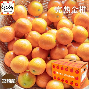 _Im1/2IIōő300|CgobN 4 0:00`^炲Ƃ܂邩 n y\iz12{`{yzyMtgz ܂邩 {Y n  ( 񂩂 ) 