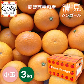 ＼お買い物マラソン 27日 1:59 まで／★食べるジュース！越冬完熟品！★＼創業84年 愛媛みかん の老舗／【送料無料】【ギフト】【産地直送】愛媛西宇和産 清見タンゴール 小玉 3kg「小玉清見3」清見オレンジ デコポン・せとかの母 オレンジ きよみ みかん 西宇和みかん