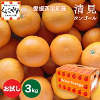 ★食べるジュース！越冬完熟品！★＼創業83年 愛媛みかん の老舗／【送料無料】【ギフト】【産地直送】愛媛西宇和産 清見タンゴール お試し3kg「お試し清見3」清見オレンジ デコポン・せとかの母 オレンジ キヨミオレンジ 西宇和みかん 八幡浜みかん