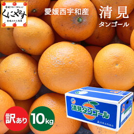 ＼ポイント10倍！25日 23:59 まで／★食べるジュース！越冬完熟品＼創業84年 愛媛みかん の老舗／【送料無料】【産地直送】愛媛西宇和産 清見タンゴール 訳あり 10kg (5kg×2箱)「訳あり清見5×2」清見オレンジ デコポン・せとかの母 オレンジ キヨミオレンジ きよみ みかん