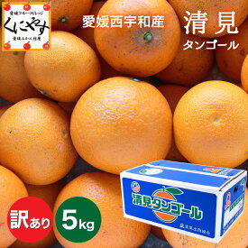 ★食べるジュース！越冬完熟品★＼創業84年 愛媛みかん の老舗／【送料無料】【産地直送】愛媛西宇和産清見タンゴール 訳あり 5kg「訳あり清見5」清見オレンジ デコポン・せとかの母 オレンジ キヨミオレンジ きよみ みかん 西宇和みかん