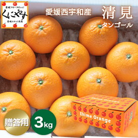 ＼お買い物マラソン 27日 1:59 まで／★食べるジュース！越冬完熟品！★＼創業84年 愛媛みかん の老舗／【送料無料】【ギフト】【産地直送】愛媛西宇和産 清見タンゴール 贈答用3kg「贈答清見3」清見オレンジ デコポン・せとかの母 オレンジ キヨミオレンジ きよみ みかん