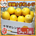 【送料無料】訳あり愛媛ナダオレンジ5kg(5kg×1箱）(別名：河内晩柑,宇和ゴールド,ジューシーオレンジ,美生柑,愛南ゴールド)「訳ありナダオレンジ5kg」 ランキングお取り寄せ