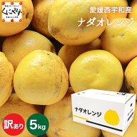 ＼枚数限定！100円OFFクーポン 配布中／ 大豊作祭！期間限定 特価中！★こだわり農家さん限定ブランド★…