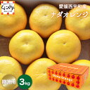 最大100％ポイントバック！10日0:00～＼5％OFFクーポン／★こだわり農家さん限定ブランド★【送料無料】【ギフト】【産地直送】愛媛西宇和産 ナダオレンジ 贈答用 3kg 河内晩柑 和製グレープフルーツ 宇和ゴールド 美生柑 愛南ゴールド 夏文旦 「贈答ナダオレ3」【☆】