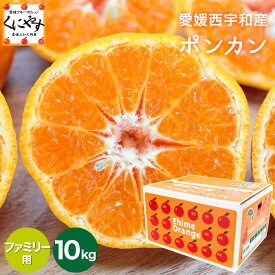 楽天市場 ぽんかん みかん フルーツ 果物 食品の通販 楽天市場 ぽんかん みかん フルーツ 果物 食品の通販