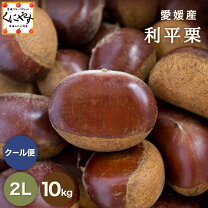楽天市場】生栗 10kgの通販
