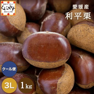 今季在庫限り\ポイント最大47倍!お買い物マラソン 開催中!/★最高峰の幻の 栗 深い香りと濃厚な甘み★【貯蔵品】【送料無料】【ギフト】【産地直送】【厳選品】愛媛産 利平 栗 大粒3L