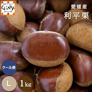 GŏI̔I_|Cgő4{I18͂ڊӃf[^ō̌ I [ƔZȊÂ݁yzyMtgzyYnzyIizQY I LTCY 1LuI