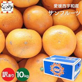 ★酸味と苦味の中のほのかな甘さ＼創業83年 愛媛みかん の老舗／【送料無料】【産地直送】愛媛西宇和産 サンフルーツ (新甘夏) 訳あり 10kg(5kg×2箱) マーマレードやピール作りに！「訳ありサンフルーツ5×2」夏みかん あまなつ みかん