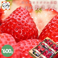 ★3年連続 金賞受賞！ 糖度が高く 酸は控え目★【送料無料】【ギフト】埼玉県 オリジナル品種 いちご 彩…