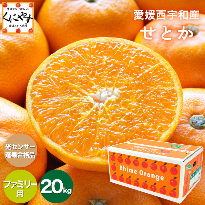 楽天市場】☆究極の柑橘！みかんの大トロ☆糖度12.0以上 酸1.4以下 