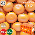 ★究極の柑橘！みかんの大トロ★糖度12.0以上酸1.4以下★＼創業83年 愛媛みかん／【送料無料】【ギフト】【産地直送】愛媛西宇和産せとか お試し12キロ (3キロ×4箱)「お試しせとか3×4」せとかみかん 西宇和みかん 八幡浜みかん オレンジ