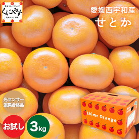 ★究極の柑橘！みかんの大トロ★糖度12.0以上酸1.4以下★＼創業83年 愛媛みかん／【送料無料】【ギフト】【産地直送】愛媛西宇和産せとか お試し3キロ「お試しせとか3」せとかみかん 西宇和みかん 八幡浜みかん オレンジ