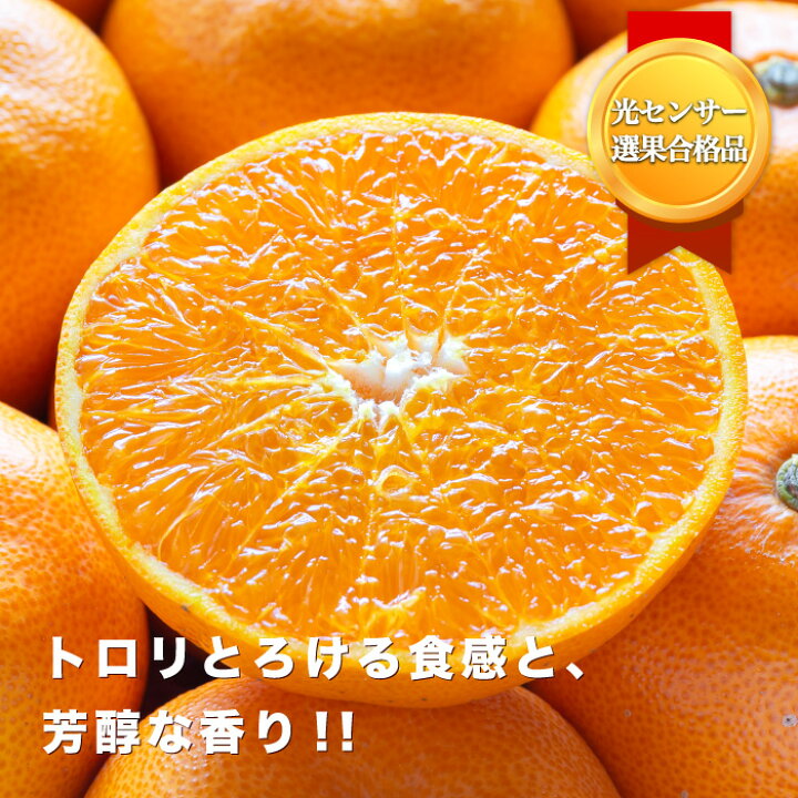 楽天市場】☆究極の柑橘！みかんの大トロ☆糖度12.0以上 酸1.4以下 