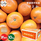 ＼ポイント10倍！30日 0:00～／★究極の柑橘！みかんの大トロ★糖度12.0以上 酸1.4以下★＼創業83年 愛媛みかん の老舗／【送料無料】【産地直送】愛媛西宇和産 せとか 訳あり 10キロ (5キロ×2箱) 「訳ありせとか5×2」せとかみかん 西宇和みかん オレンジ