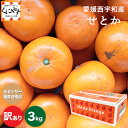 【3/1限定！】買い回りエントリー最大P46.5倍！究極の柑橘 みかんの大トロ 糖度12.0以上酸1.4以下 ご予約受付中＼創業…