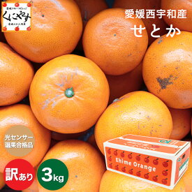 ＼ポイント10倍！30日 0:00～／★究極の柑橘！みかんの大トロ★糖度12.0以上 酸1.4以下★＼創業83年 愛媛みかん の老舗／【送料無料】【産地直送】愛媛西宇和産 せとか 訳あり 3キロ「訳ありせとか3」せとかみかん 西宇和みかん 八幡浜みかん オレンジ お取り寄せ