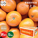 10％OFFクーポン ＆ ポイント10倍！大豊作祭 期間限定 特価！＼楽天スーパーセール 開催中／★究極の柑橘！みかんの大…
