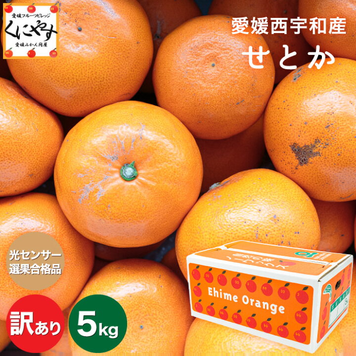 楽天市場】☆究極の柑橘！みかんの大トロ☆糖度12.0以上 酸1.4以下 