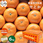 ★究極の柑橘！みかんの大トロ★糖度12.0以上酸1.4以下★＼創業83年 愛媛みかん の老舗／【送料無料】【ギフト】【産地直送】愛媛西宇和産せとか 贈答用 約6キロ「贈答せとか6」せとかみかん 西宇和みかん 八幡浜みかん オレンジ