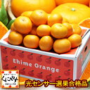 【全国送料無料】【光センサー選果合格品】訳あり愛媛産せとか5kg究極の柑橘 糖度と酸度測定の味センサー選果!みかんの大トロ!「訳ありせとか5」