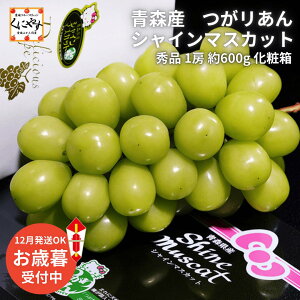 _|Cgő47{I}\ 14 20:00`^x18xȏ ꗱ̏dʂ13gȏずyzXY 肠 VC}XJbg 1[ 600g ϔ ① uXVCv 