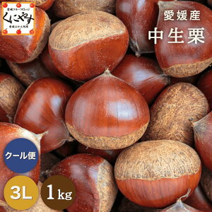 18͂ڊӃf[_ ő|Cg4{I^11Iʂ { I 9{`10{yzyMtgzyYnzyIizQY I 3Lȏ1LuQI3L1