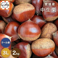 クーポン利用で 10％OFF ＼当選確率1/2！最大100％ポイントバック！本日 23:59 まで／★1つ1つ手選別した…