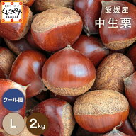 クーポン利用で 10％OFF ＼当選確率1/2！最大100％ポイントバック！本日 23:59 まで／★1つ1つ手選別した…